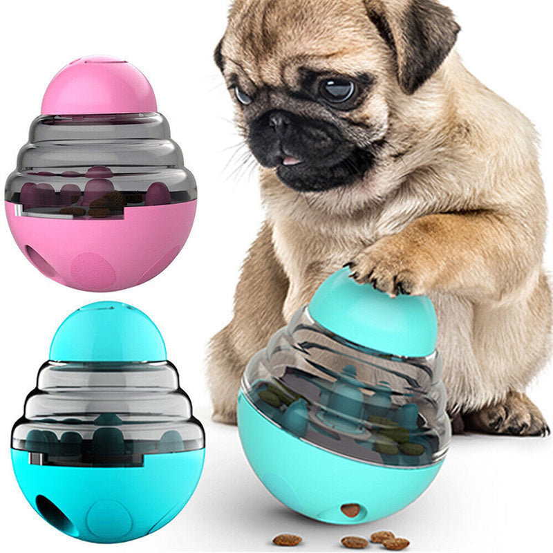 Everyday Happiness: Small Ways to Make a Big Difference in Your Pet’s Life