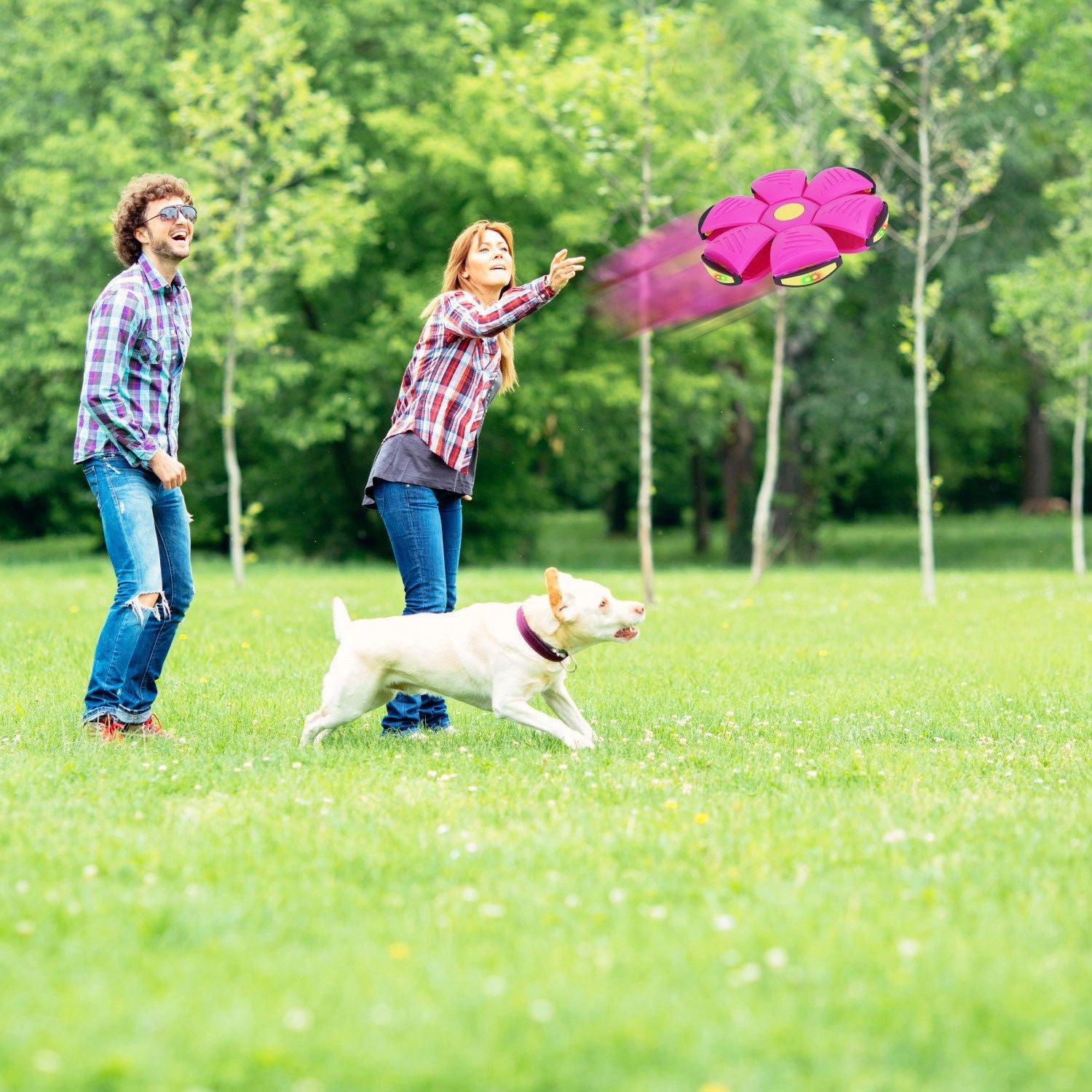 4 Pack Flying Saucer Ball Electric Colorful Flying Toy UFO Ball with LED Lights for Pet Children Outdoor Toy